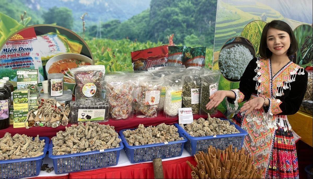 Lào Cai đẩy mạnh kết nối, quảng bá sản phẩm đặc trưng tại Hội chợ Mùa Xuân 2026