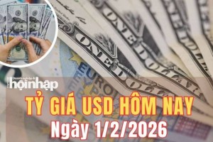 Tỷ giá USD hôm nay 1/2/2026: Đồng USD giảm, chỉ số DXY lao dốc tuần thứ hai