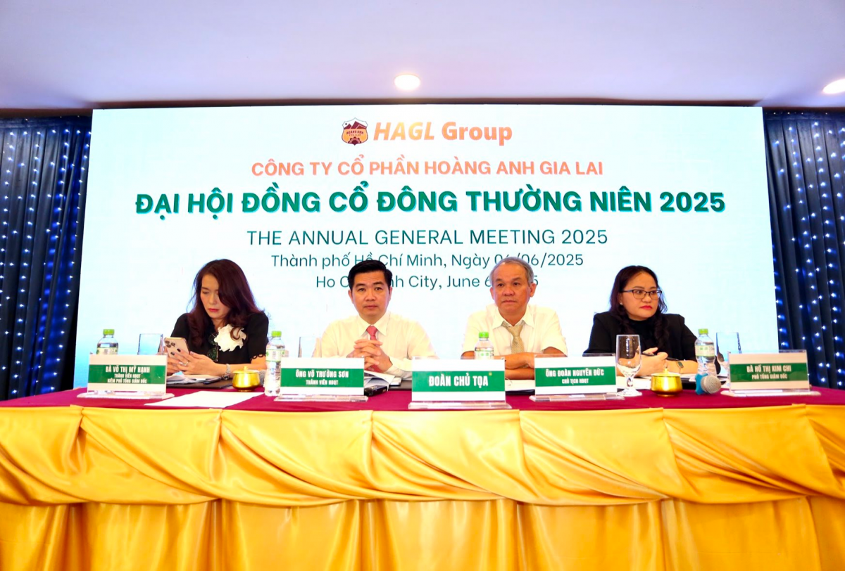 Hoàng Anh Gia Lai lập kỷ lục lợi nhuận sau hơn một thập kỷ tái cơ cấu tài chính