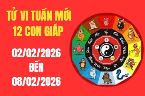 Tử vi tuần mới 12 con giáp từ 02/02 – 08/02/2026: Con giáp nào cơ hội gặp quý nhân, lội ngược dòng ngoạn mục?