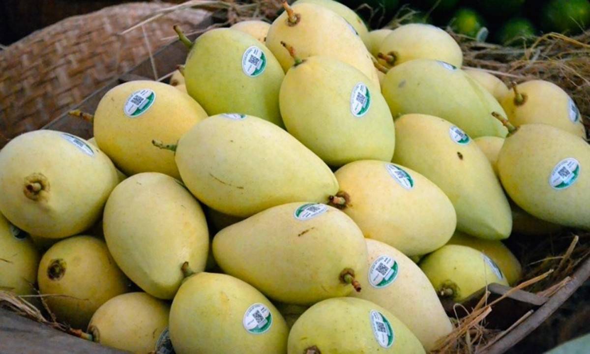 Ba Lan siết chặt kiểm soát, phát đi cảnh báo với nông sản Việt Nam