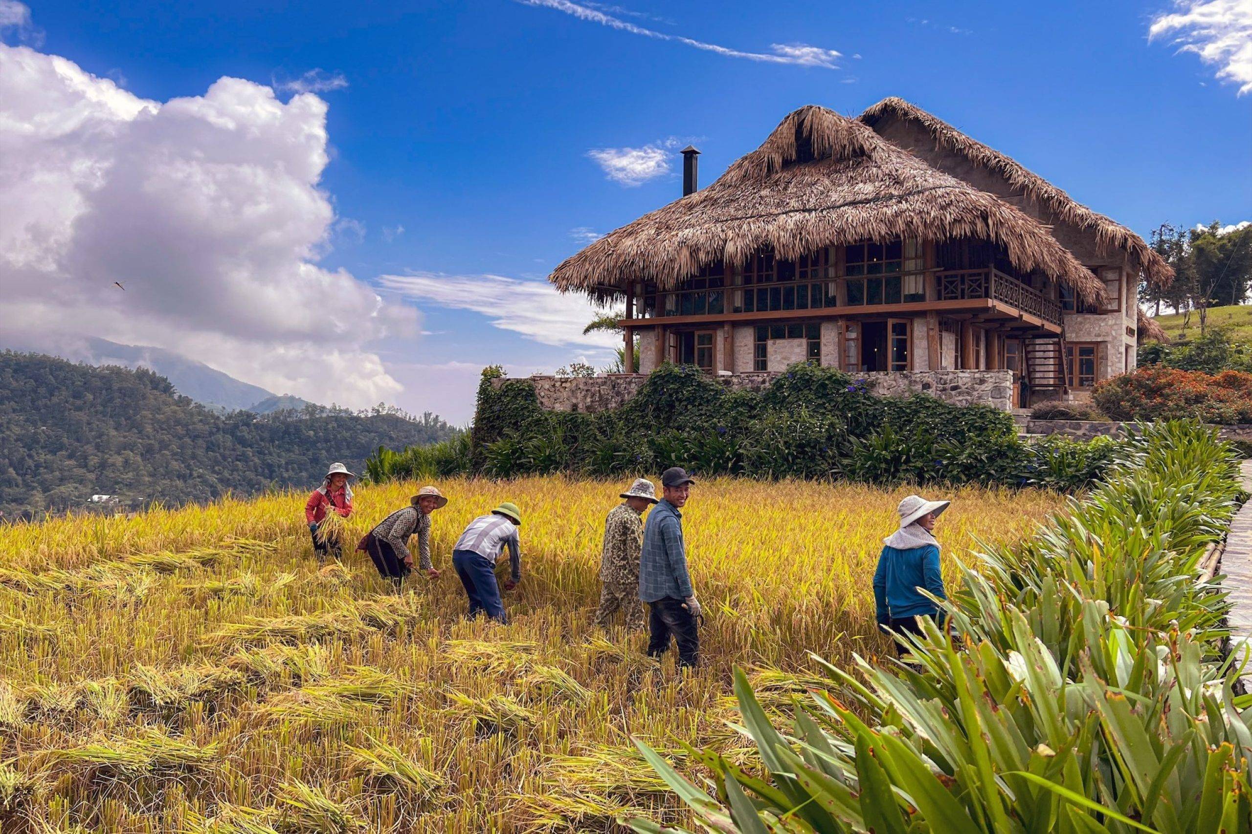 Topas Ecolodge – Điểm sáng du lịch xanh Việt Nam được vinh danh Khách sạn Xanh ASEAN 2026