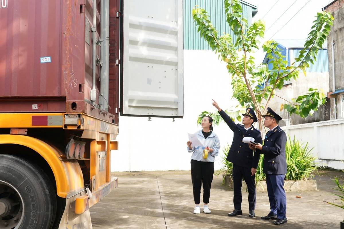 Hải quan hỏa tốc chỉ đạo thông quan nhanh thực phẩm nhập khẩu dịp cận Tết