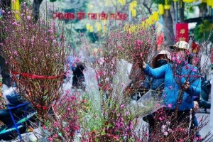 Tết Bính Ngọ 2026, thời tiết ba miền có gì đáng chú ý?