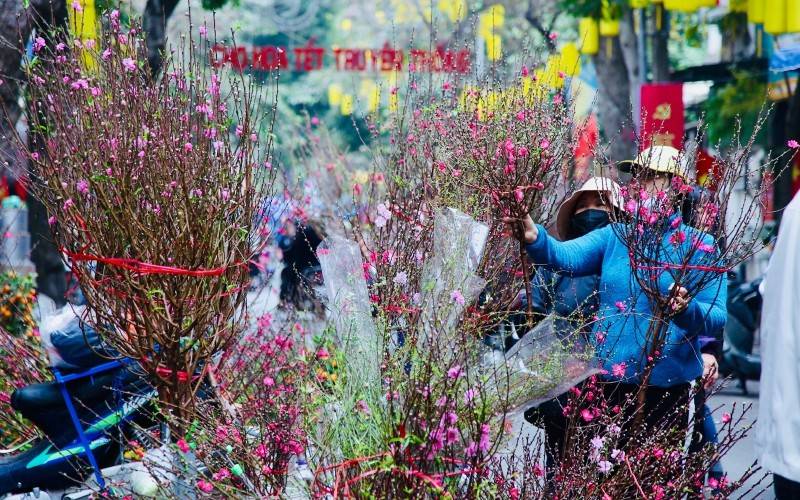 Tết Bính Ngọ 2026, thời tiết ba miền có gì đáng chú ý?