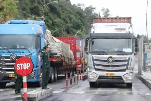 Chính phủ tạm hoãn hiệu lực Nghị định 46 đến 15/4/2026 để tháo gỡ ách tắc hàng hóa