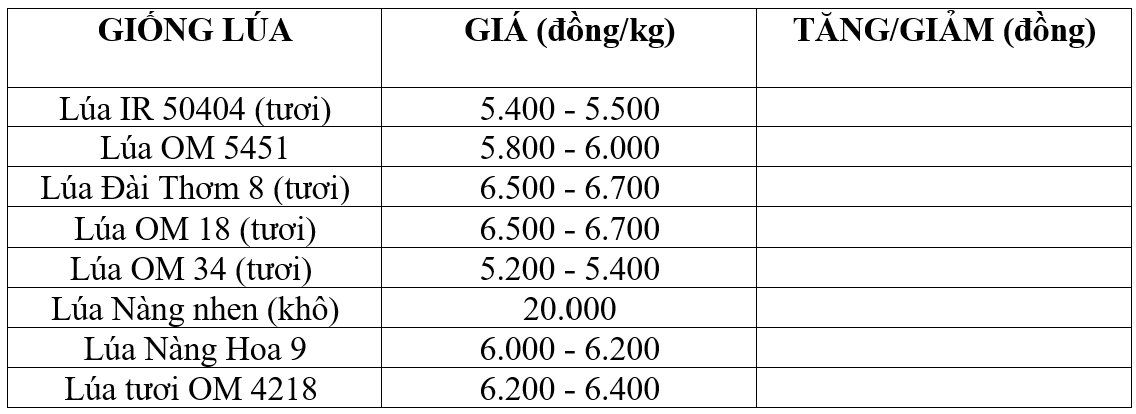 Bảng giá lúa hôm nay 10/2/2026