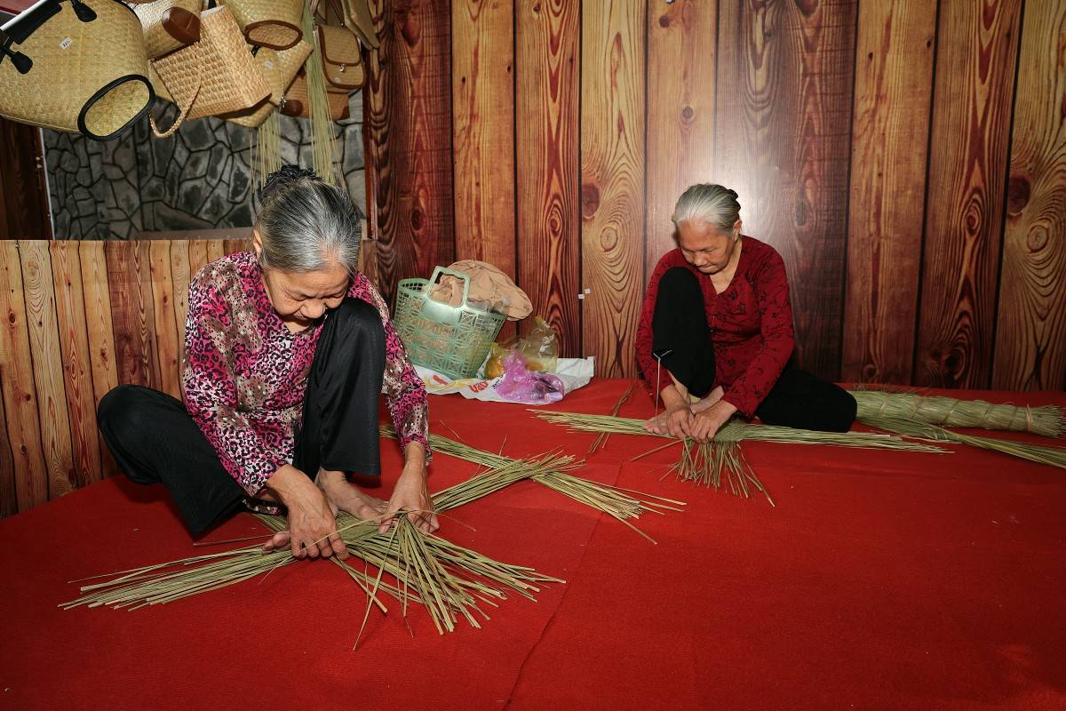 Cần Thơ tổ chức Chương trình “Sắc Xuân miệt vườn” và “Công viên Sách Xuân” Bính Ngọ 2026 chào xuân