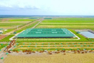 Hàng chục tỷ USD tạo “khối kinh tế liền mạch” Campuchia – Lào