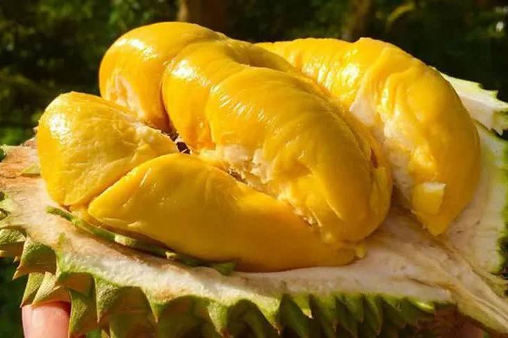 Vì sao giá sầu riêng tăng mạnh khi thị trường bước vào cao điểm Tết?