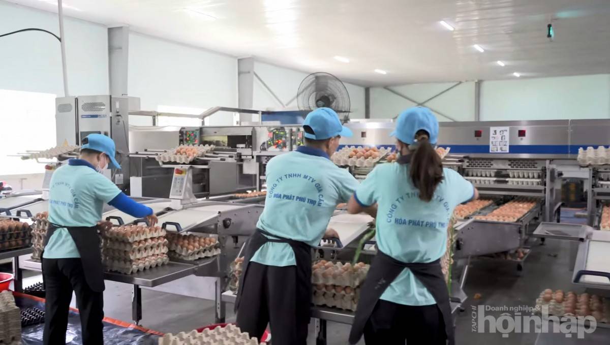 Doanh thu 8.300 tỷ, HPA lãi 1.600 tỷ đồng trong năm 2025