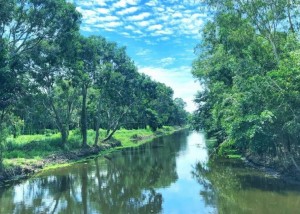 Dấu ấn nông nghiệp Mùa Xuân trên vùng đất lâm trường cũ