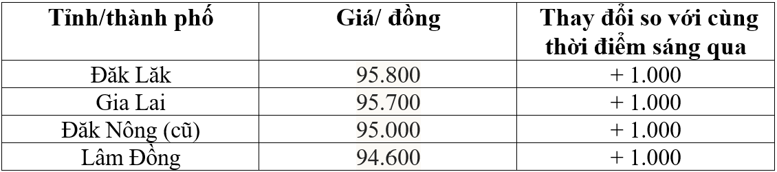 Bảng giá cà phê trong nước hôm nay 10/2/2026
