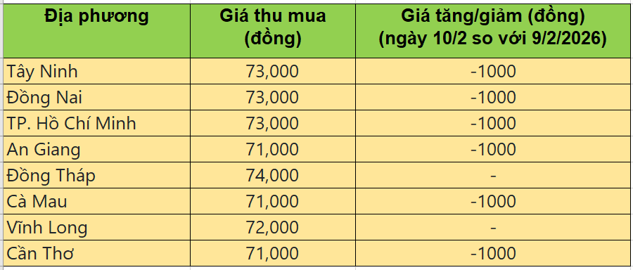 Bảng giá heo hơi tại miền Nam hôm nay 10/2/2026