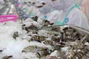 Tôm Việt trước sức ép mới: Doanh nghiệp buộc nâng cấp giá trị để giữ thị phần