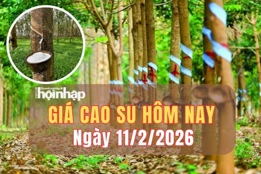 giá cao su