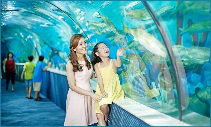 Khánh Hòa: Vinpearl Nha Trang và chiến lược vươn lên trở thành điểm đến du lịch hàng đầu