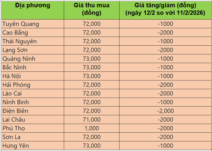 Bảng giá heo hơi tại miền Bắc hôm nay 12/2/2026