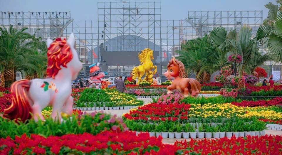 Hải Phòng rộn ràng sắc Xuân Bính Ngọ 2026: Hội tụ văn hóa – Lan tỏa khát vọng vươn xa