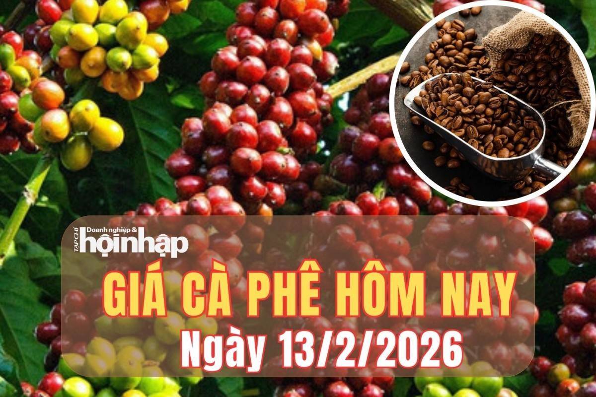 Giá cà phê hôm nay 13/2/2026: Giá cà phê trong nước nhích tăng, thế giới bứt tốc
