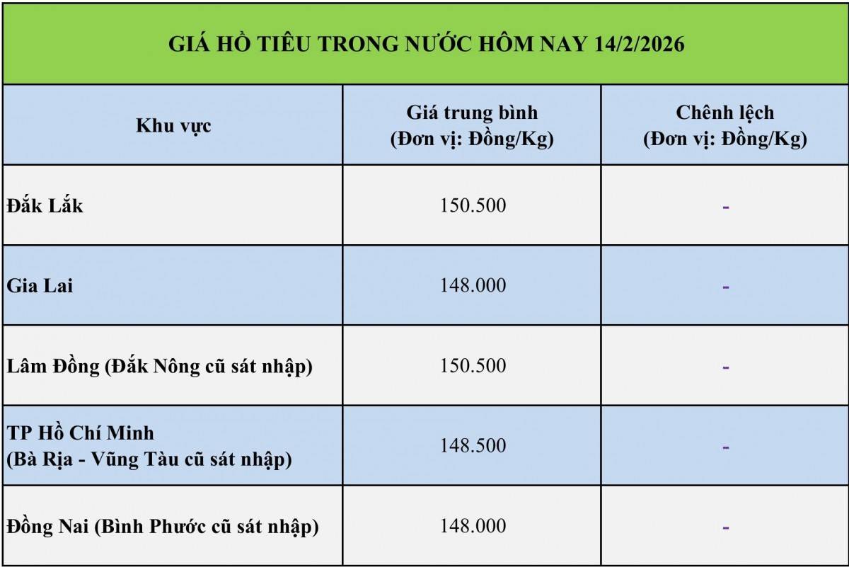 Giá tiêu hôm nay 10/2/2026: Thị trường thế giới khởi sắc, gỡ nút thắt pháp lý cho xuất nhập khẩu