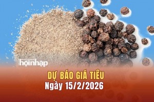 Dự báo giá tiêu 15/2: Giá tiêu trong nước đồng loạt tăng cao