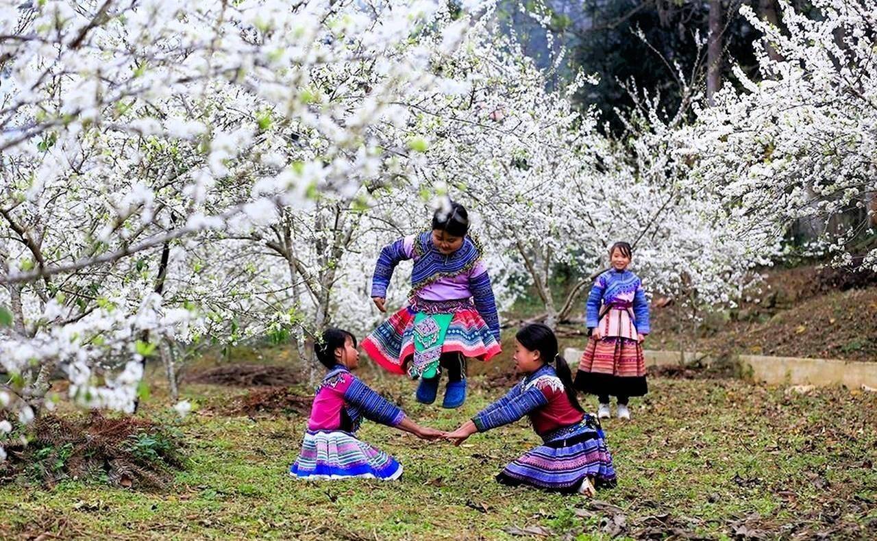 Lào Cai: Lùng Phình phát huy lợi thế mùa hoa, định hình chiến lược du lịch bền vững