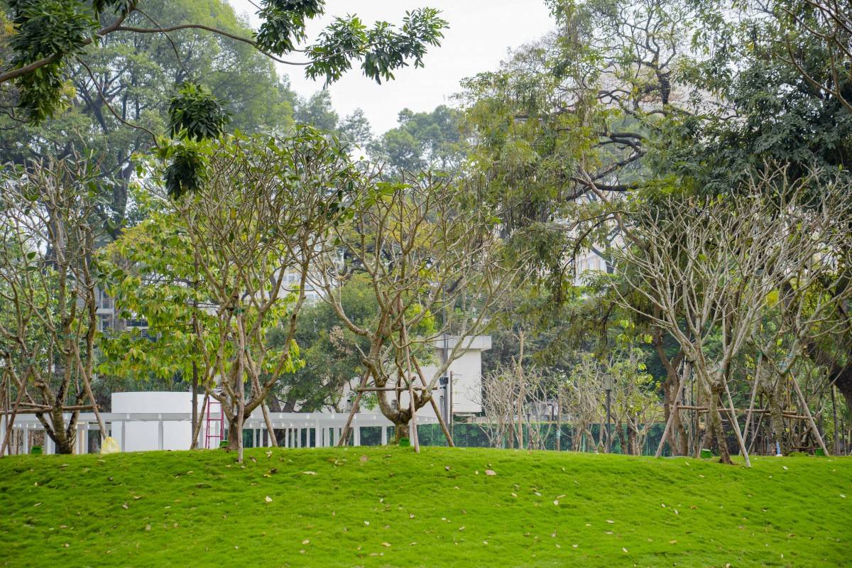 Công viên tạo ra nhiều khoảng xanh dành tặng người dân TP HCM