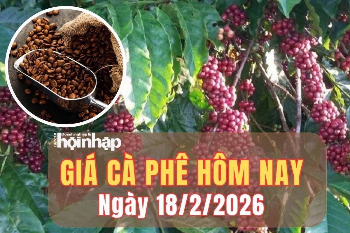 Giá cà phê hôm nay 18/2/2026: Giá cà phê thế giới giảm sâu