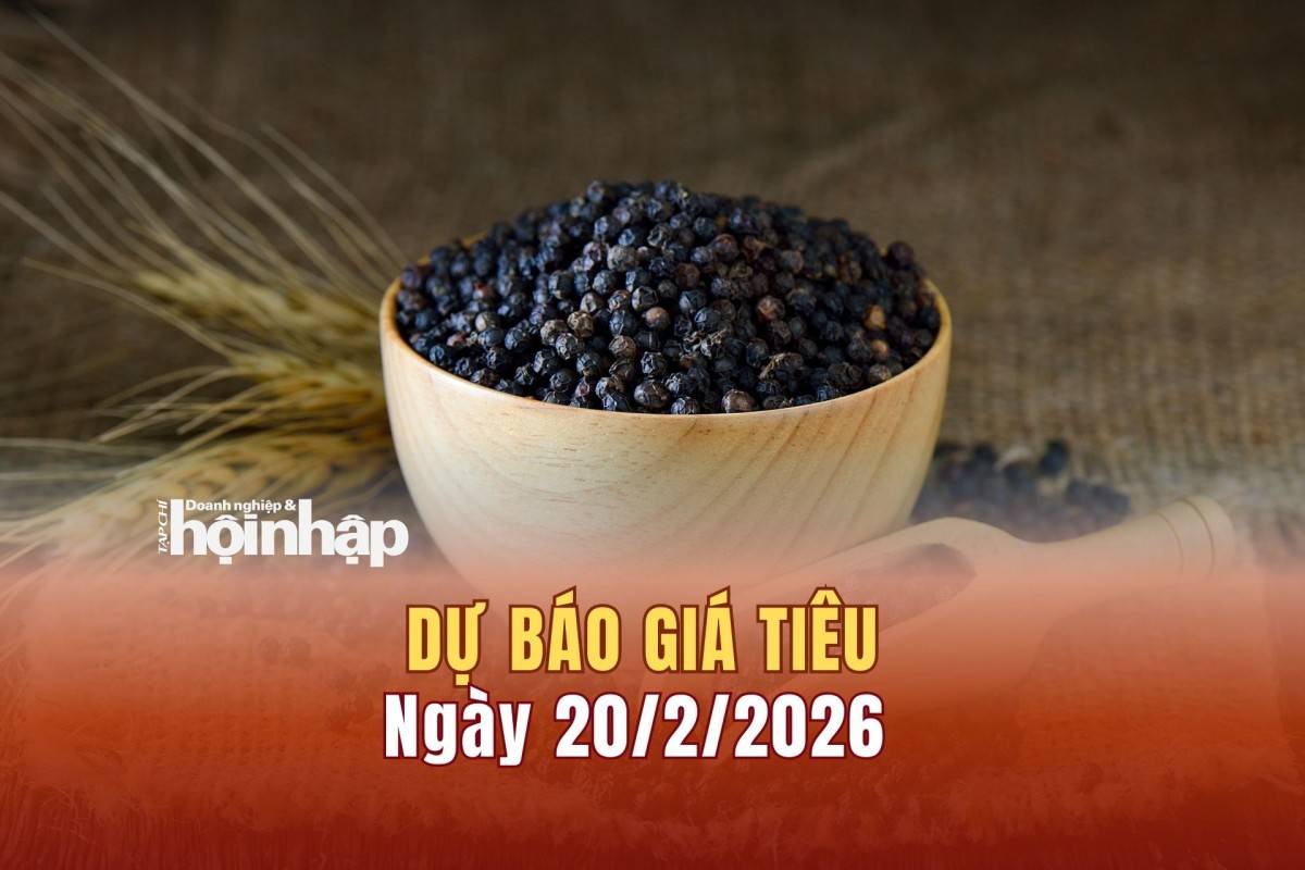 Dự báo giá tiêu 19/2: Giá tiêu trong nước và thế giới có xu hướng tăng