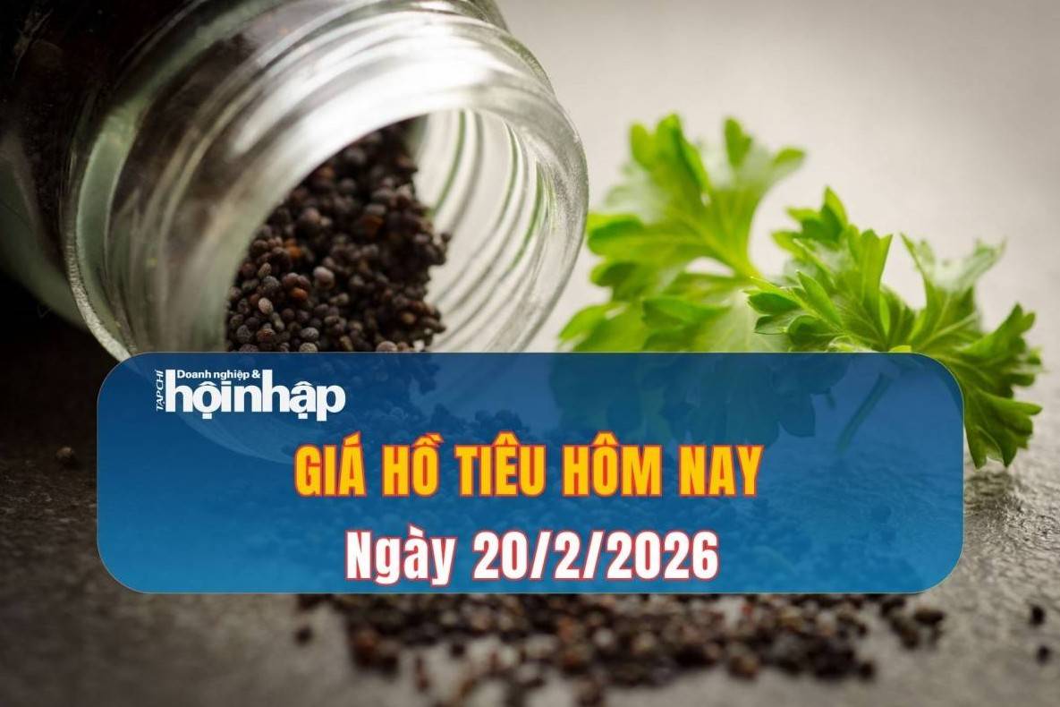 Giá tiêu hôm nay 20/2/2026: Trong nước đi ngang, thế giới biến động trái chiều
