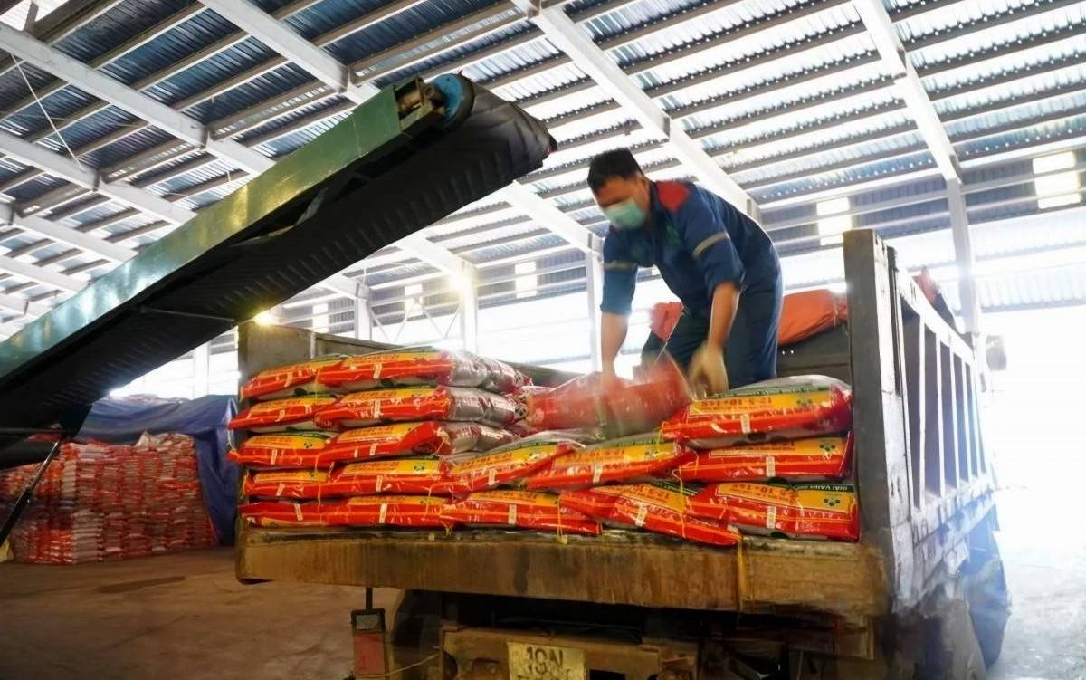 Supe Lâm Thao xuất bán 2.000 tấn phân bón ngay mùng 4 Tết Bính Ngọ