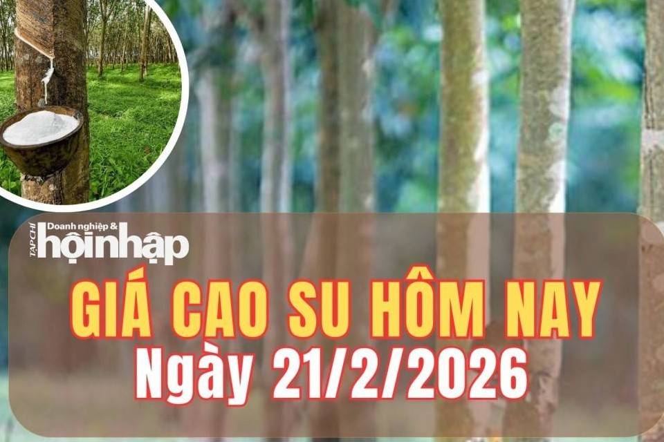 Giá cao su hôm nay 21/2/2026: Giá cao su Nhật Bản lập chuỗi ba phiên tăng