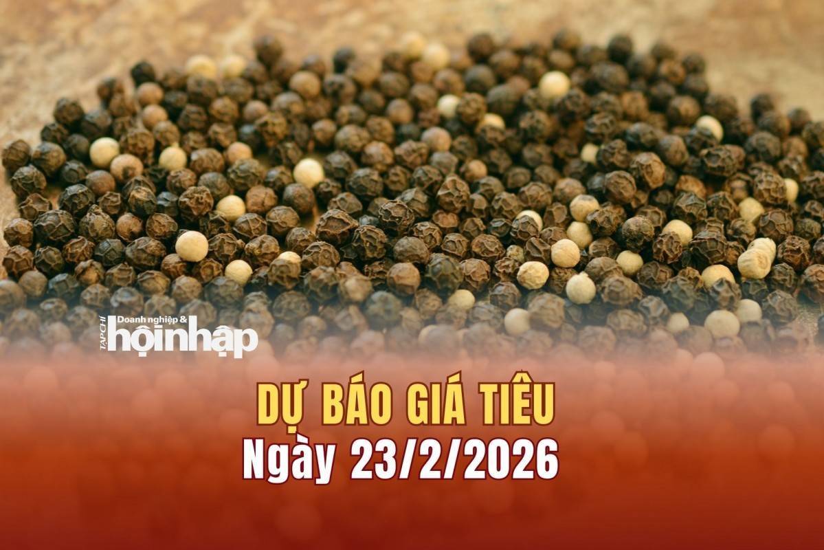 Dự báo giá tiêu 23/2: Giá tiêu trong nước và thế giới có xu hướng tăng "vọt"