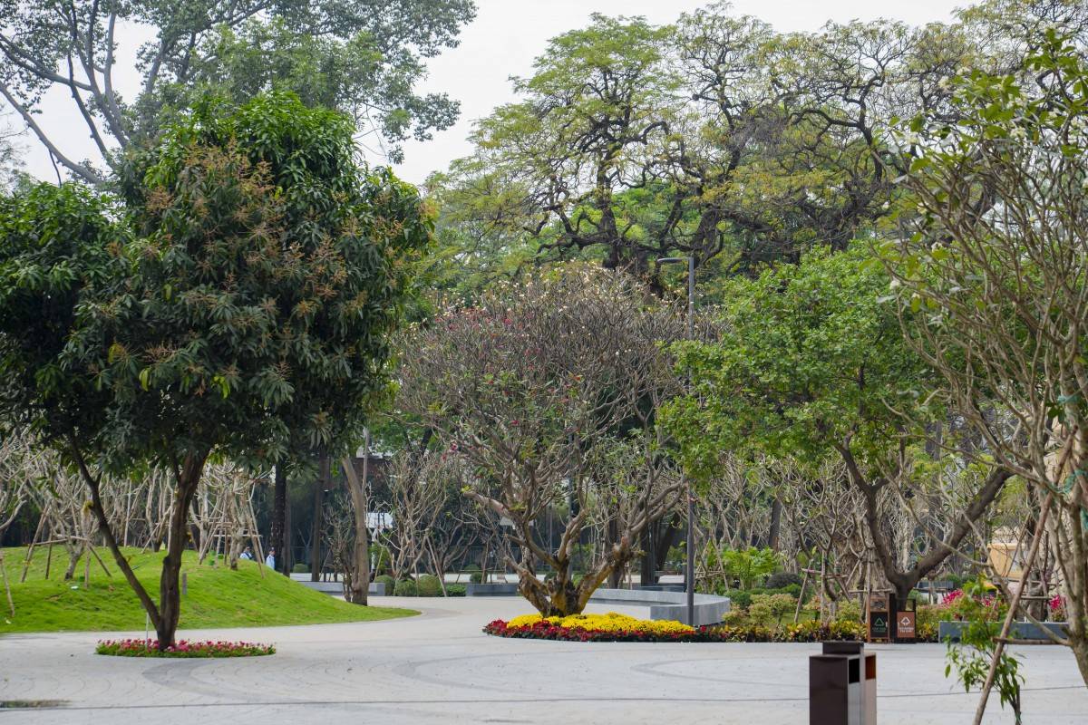 Không gian xanh bên trong Công viên số 1 Lý Thái Tổ