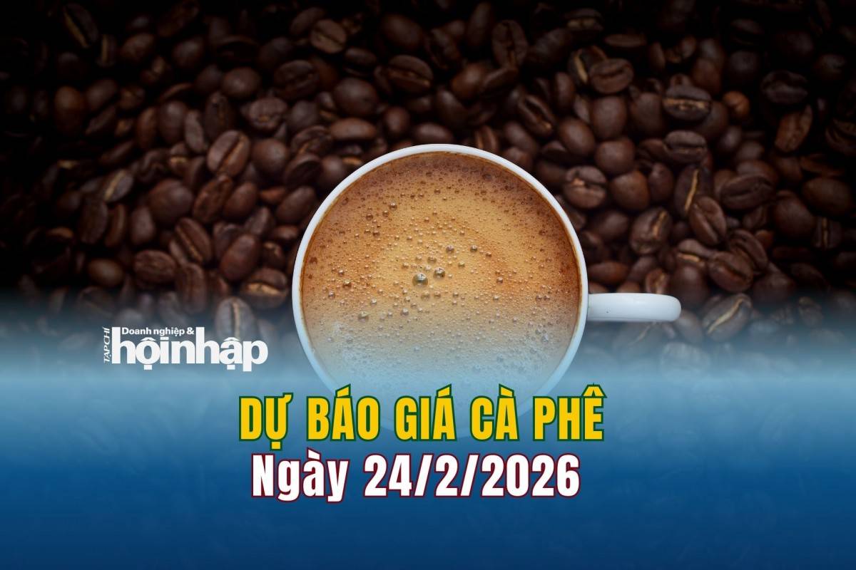 Dự báo giá cà phê 23/2: Cà phê trong nước và thế giới có xu hướng tăng mạnh