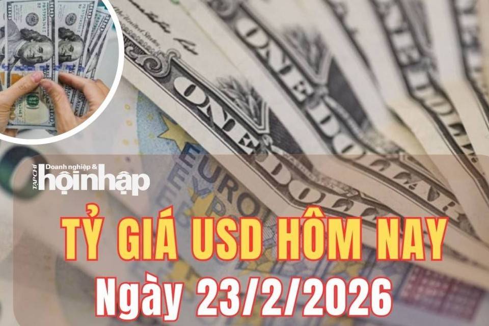 Tỷ giá USD hôm nay 23/2/2026: Đồng USD chững lại sau nhịp tăng mạnh