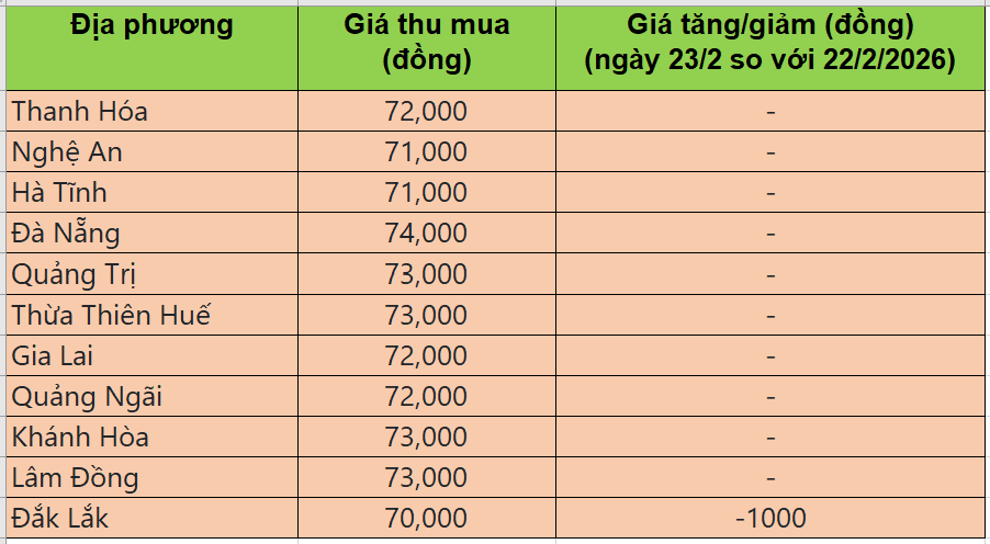 Bảng giá heo hơi tại miền Trung - Tây Nguyên hôm nay 23/2/2026