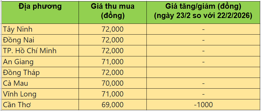 Bảng giá heo hơi tại miền Nam hôm nay 23/2/2026