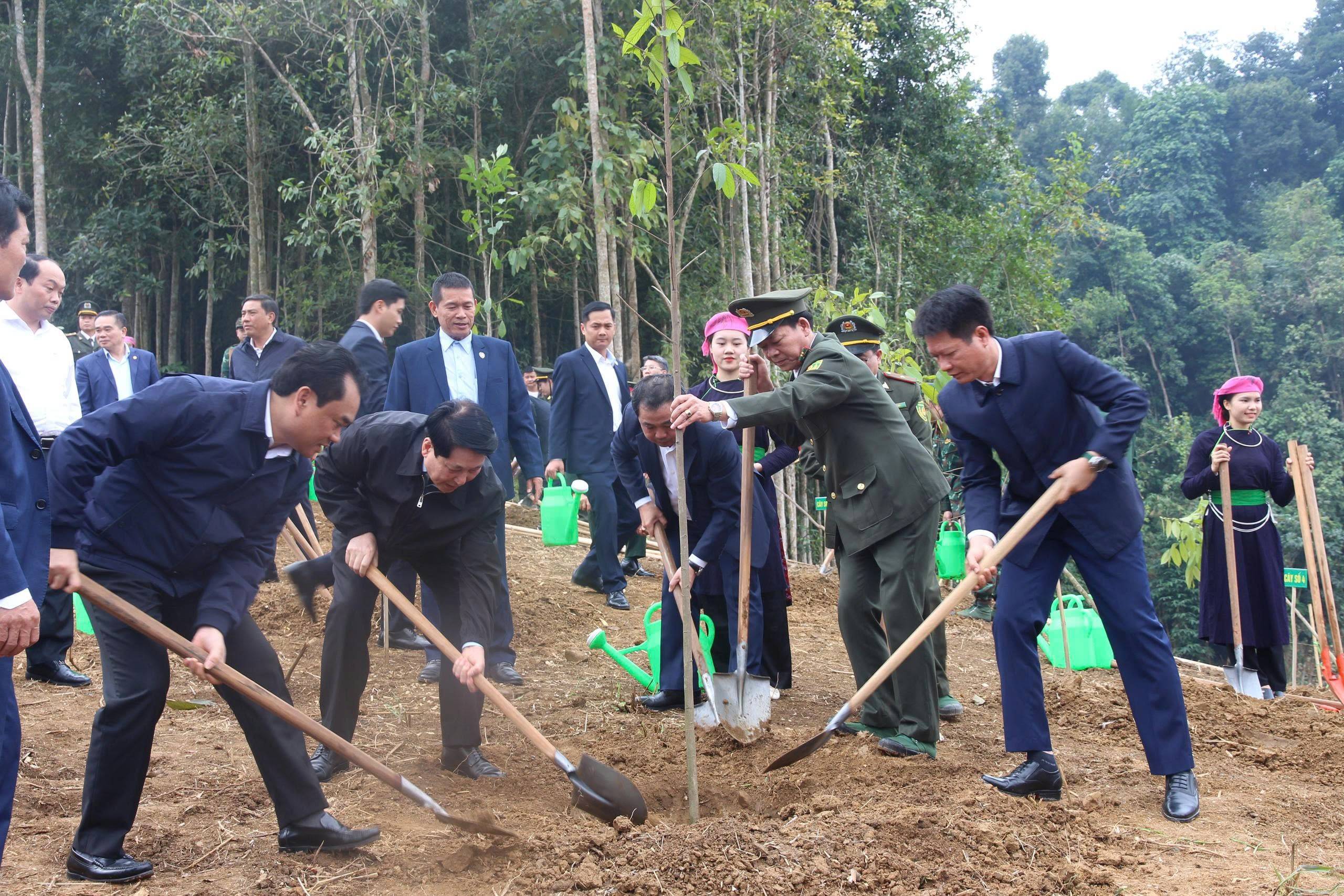 Chủ tịch nước và các đại biểu trồng cây xanh