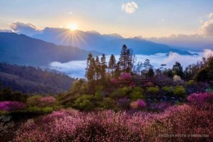 Lào Cai khởi sắc đầu năm, du lịch tăng tốc mạnh mẽ sau kỳ nghỉ Tết Bính Ngọ 2026