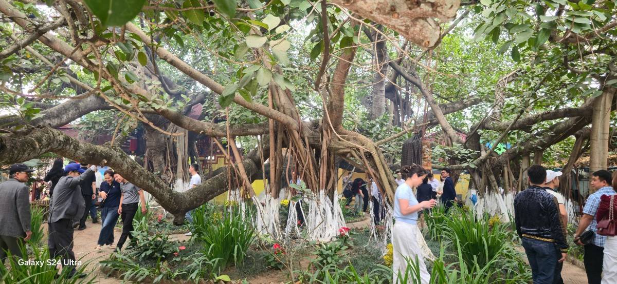 Du xuân đất Cảng: Hành trình linh khí đầu năm – Động lực cho du lịch và kinh tế vùng