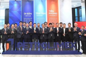 Phó Thủ tướng làm việc với 4 “ông lớn” năng lượng