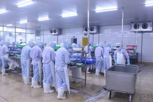 Hơn 8.200 việc làm mở ra sau Tết, VinFast dẫn đầu nhu cầu tuyển dụng tại Hà Tĩnh