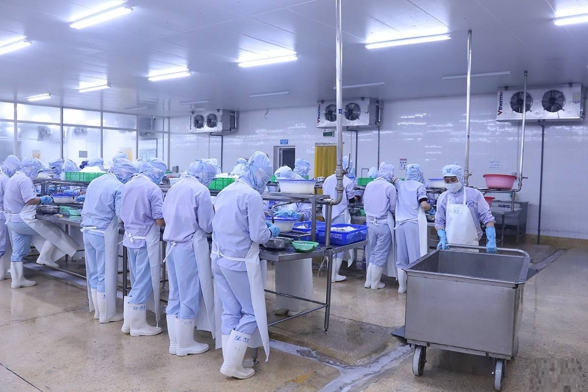 Hơn 8.200 việc làm mở ra sau Tết, VinFast dẫn đầu nhu cầu tuyển dụng tại Hà Tĩnh