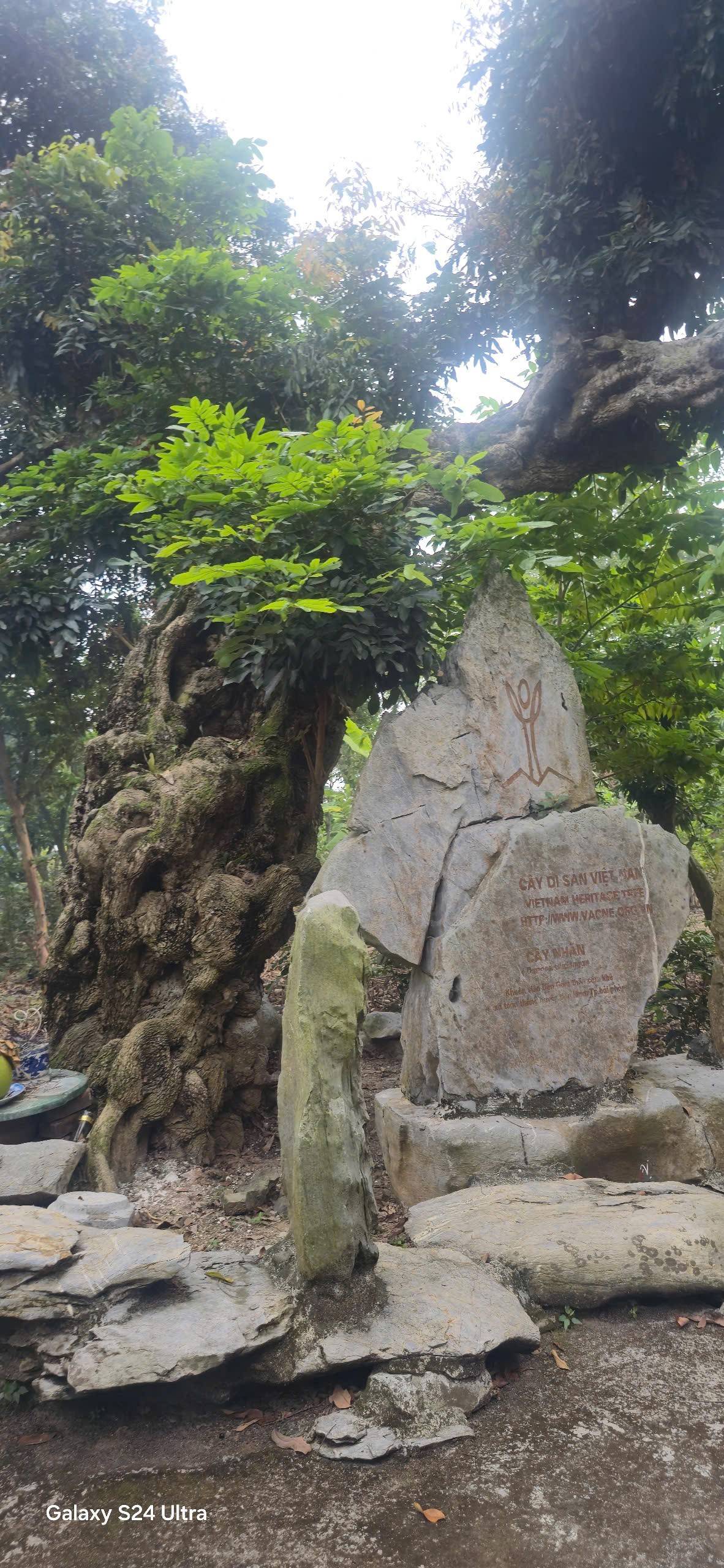 Vang vọng anh linh 900 năm Đức Thánh Đền Gắm