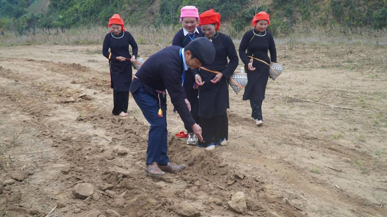 Người đứng đàu địa phương gieo hạt trên cánh đồng