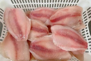 Cá rô phi trước ngưỡng tỷ USD: Mỹ định hình lại cuộc chơi cá thịt trắng