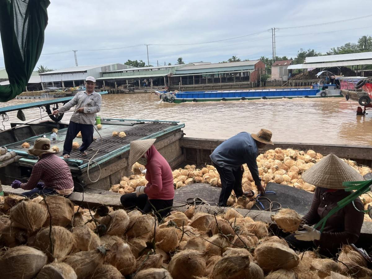 Vĩnh Long: Đột phá từ sự hội tụ ba không gian kinh tế