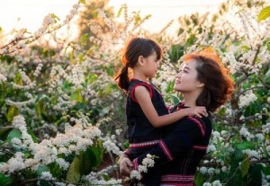 Sắc trắng trên đất đỏ: Khi Tây Nguyên vào mùa hoa cà phê